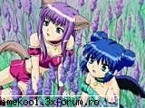 poze! - alexia_florentina - Tokio  Mew Mew