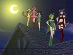 poze! - alexia_florentina - Tokio  Mew Mew